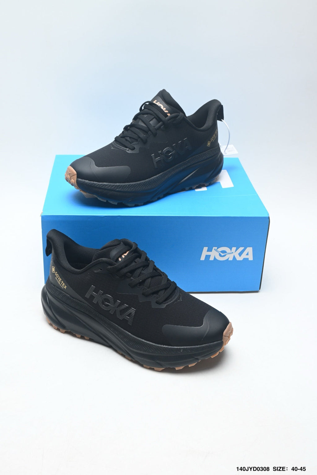 HOKA ONE ONE Challenger ATR 7 GTX --1134513